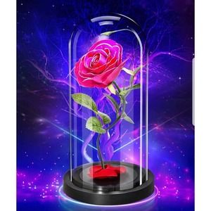 Large Eternal LED Enchanted Glass Rose Flower Anniversary Valentines Mothers Day